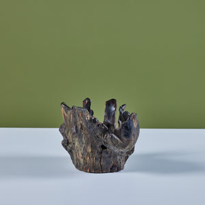 Hand Carved Driftwood Bowl
