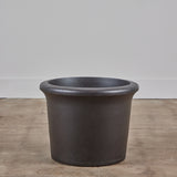 Architectural Pottery Medium Black Tulip Planter