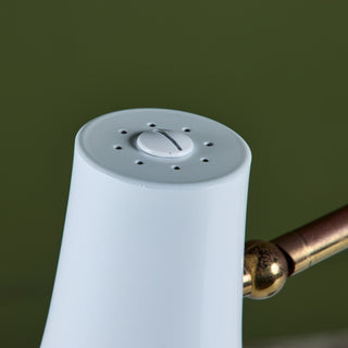 Greta Von Nessen Brass Desk Lamp for Nessen Studios