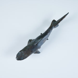 Cast Bronze Shark Sculpture by J. Dale M'Hall