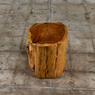 Live Edge Stump Stool & Accent Table