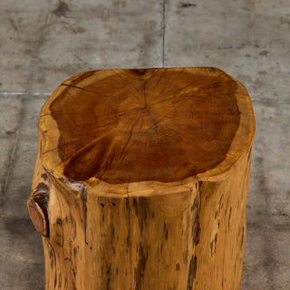Live Edge Stump Stool & Accent Table