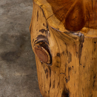 Live Edge Stump Stool & Accent Table