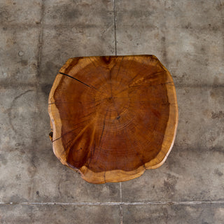 Live Edge Stump Stool & Accent Table