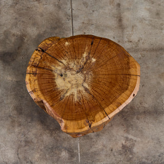 Live Edge Stump Stool & Accent Table - II