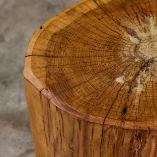 Live Edge Stump Stool & Accent Table - II