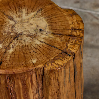 Live Edge Stump Stool & Accent Table - II