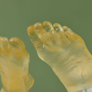 Mounted Resin Feet Sculpture
