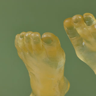 Mounted Resin Feet Sculpture