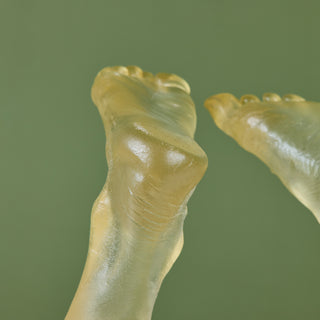 Mounted Resin Feet Sculpture