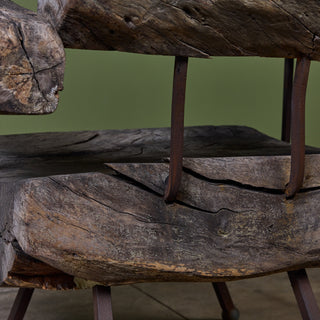 Freeform Lounge Chair by Sabena of Mexico