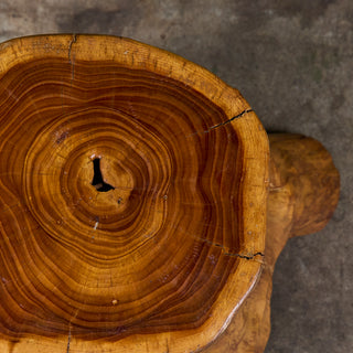 Live Edge Tree Root Stool & Accent Table