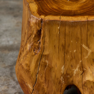 Live Edge Tree Root Stool & Accent Table