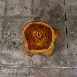 Live Edge Tree Root Stool & Accent Table