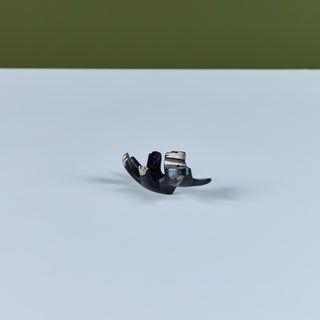 Petite Schnauzer Figurine by Walter Bosse