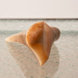 Biomorphic Stone Sculpture